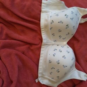 Elegant Floral Women's Bra - Cream